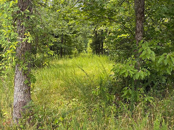 5th image of 1 Corinth Rd