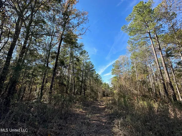 Antioch Shiloh Rd, Pelahatchie, MS 39145