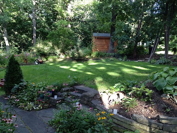 Back yard