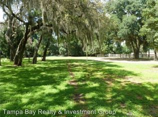 3906 Stearns Rd, Valrico, FL 33596