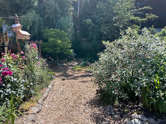 Backyard.