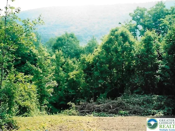 Pantherlick Rd, Sugar Run, PA 18846