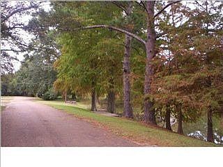 2nd image of 110 Pine Dr