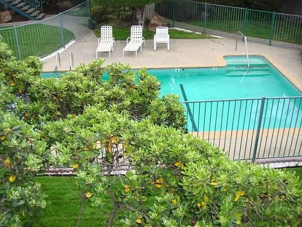 Studio, $1,995 — Photo 2