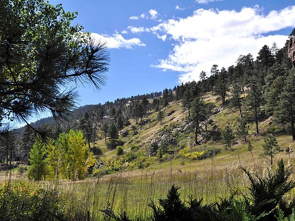3rd image of 1934 Lefthand Canyon Dr