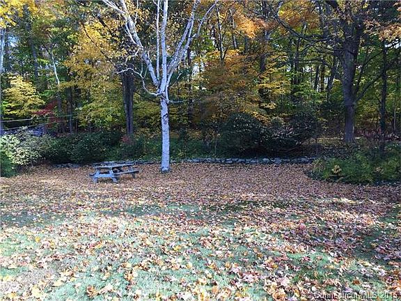 BACK YARD.