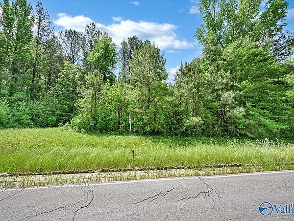 3rd image of LOT 1 E Lacon Rd