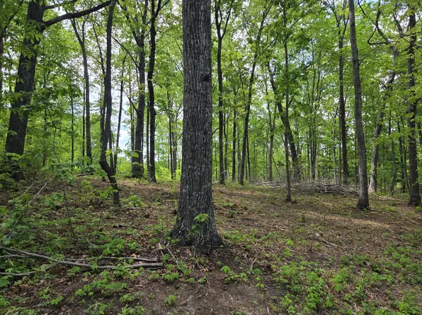 0 Ski View Dr, Dunlap, TN 37327