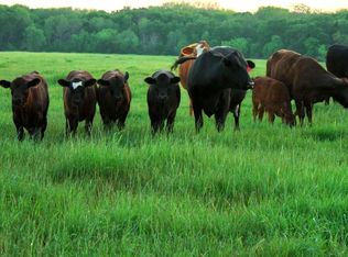 25 Ac Lcr Rd #102, Mount Calm, TX 76673