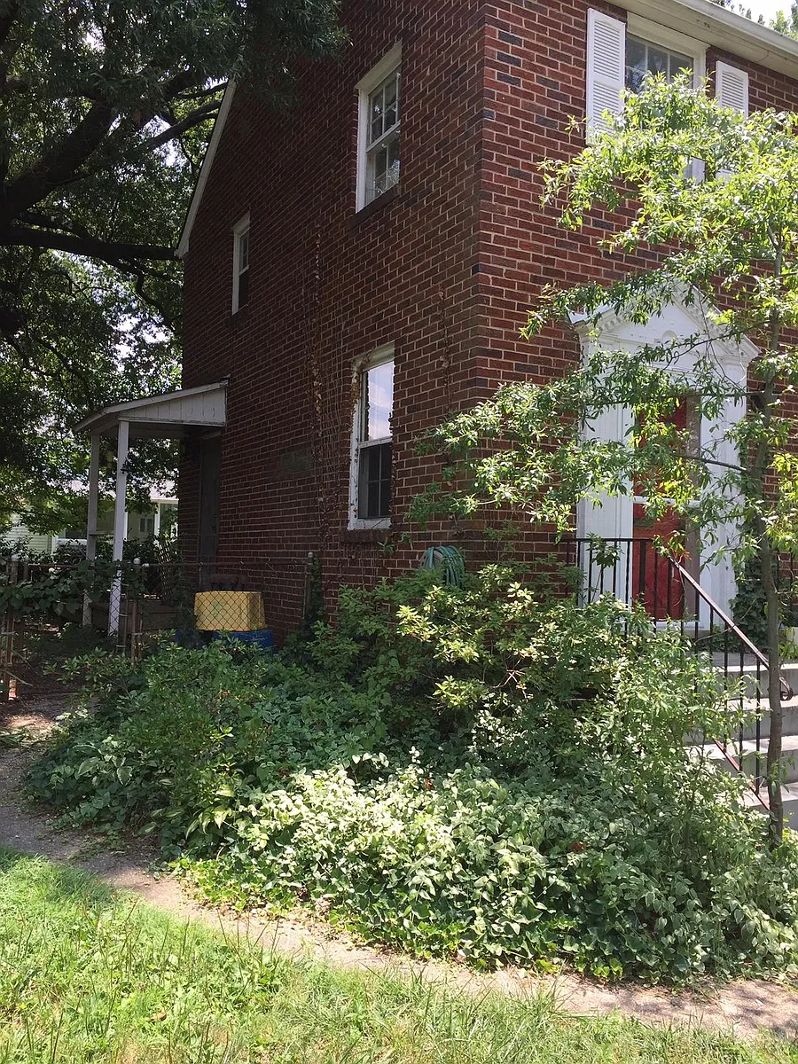 Building Photo - 6209 41st Pl
