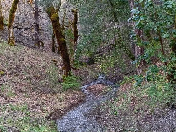 48670 N Hwy 101 Highway, Laytonville, CA 95454