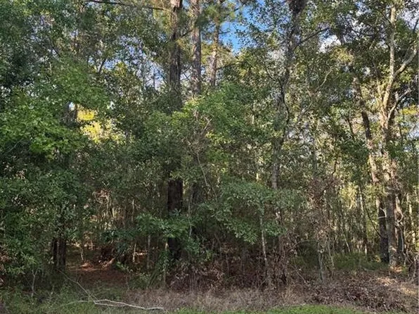 Section 16 Township 9 S West Pearl Dr, Slidell, LA 70461