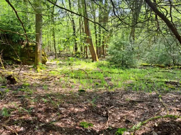 450 Deer Run Rd, Oakland, MD 21550