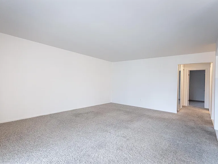902 Birch Tree Ln — Photo 13