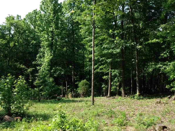 418 Oak Tree Dr Lot 418, Spring City, TN 37381