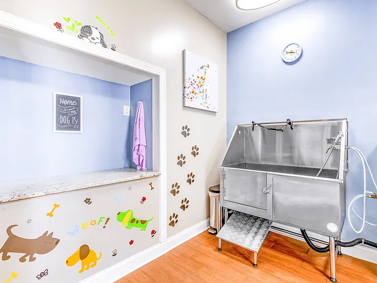 Elan at Mallard Creek Apartment Homes — Photo 49