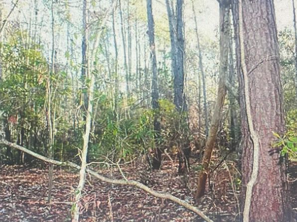 0 James Weston Dr, Awendaw, SC 29429