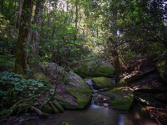Rock Creek is designated as a Class C, Trout water and starts on the property