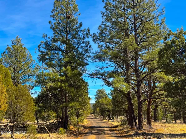 11 Co Rd, Vernon, AZ 85940