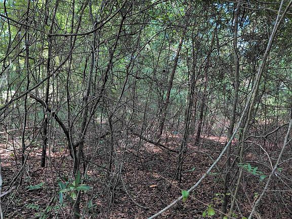 4th image of 1 Coosada Pkwy #1