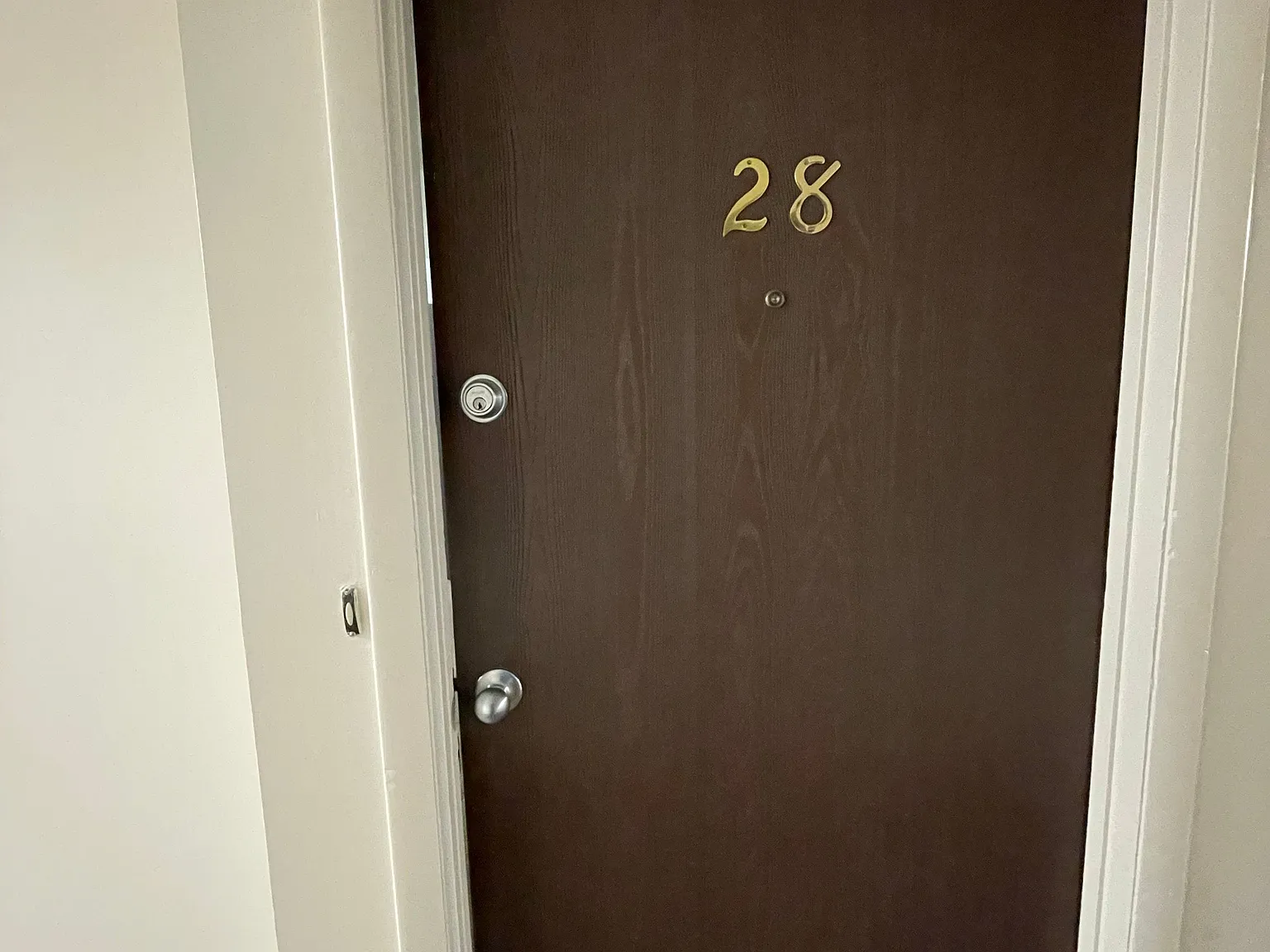 1 bed, 600 sqft, $1,130 — Photo 1