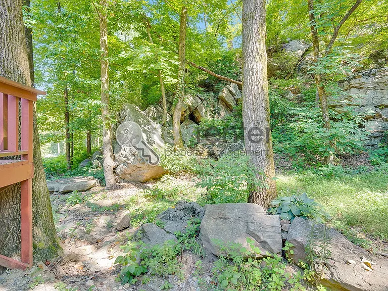 1461 Palisades Rd — Photo 15