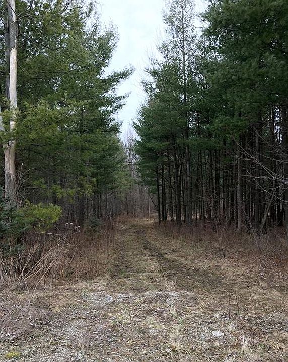 2nd image of Bainbridge Rd