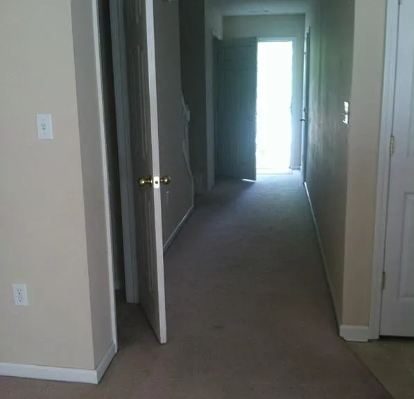 150 Swaying Pine Ct — Photo 1