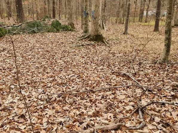 146 Tranquility Ln Lot 43, Hertford, NC 27944