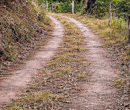3rd image of 373 Carretera Barrio Naranjo