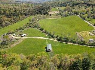 230 Dings Hollow Rd, Whitney Pt, NY 13862