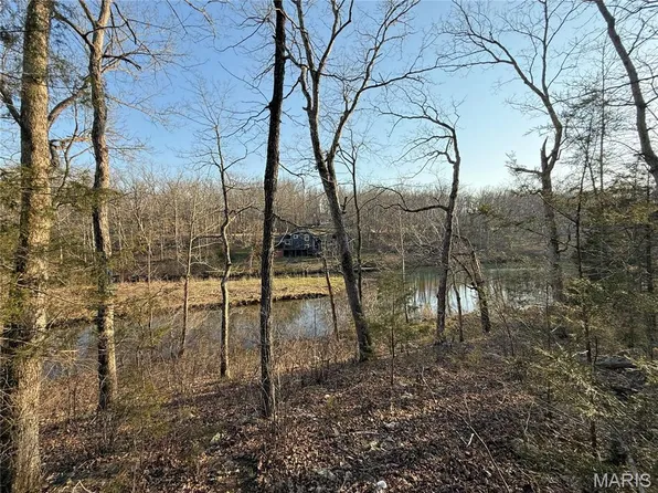 88A N Deer Trl, Fredericktown, MO 63645