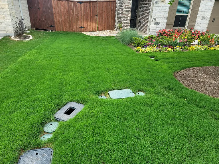 lush grass in yard