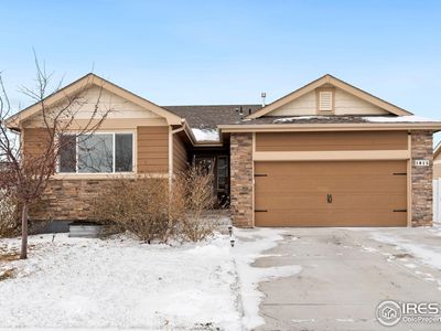 1015 Muntjac St, Severance, CO, 80550