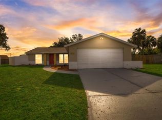 401 Buttonwood Ct, Apollo Beach, FL 33572