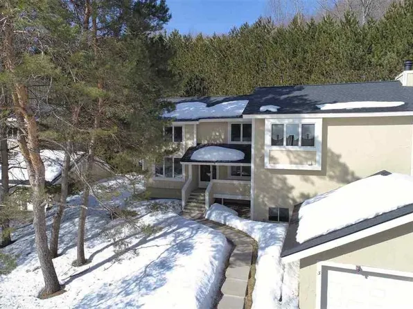 4724 Camelot Dr, Harbor Springs, MI 49740