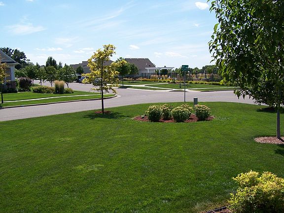 Large Front Corner Lot