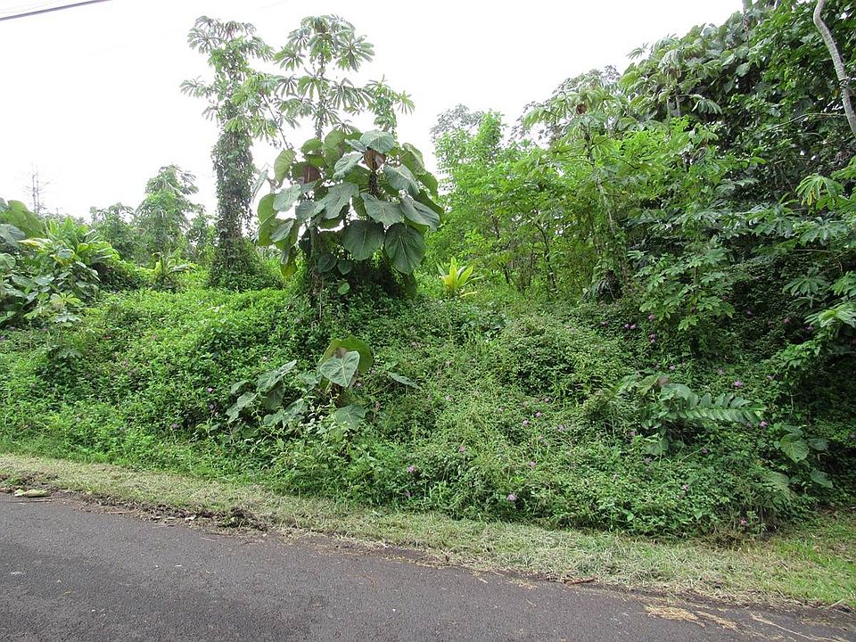 2nd image of 15-2740 Papai St Lot 6