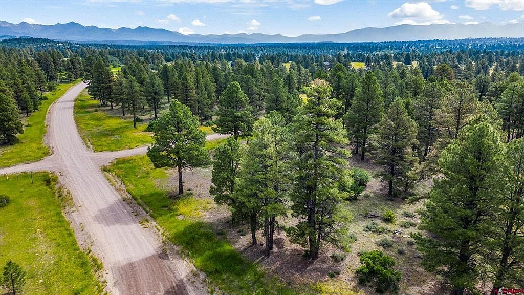 1540 & 1562 Trails Blvd, Pagosa Springs, CO 81147 MLS 806619 Zillow