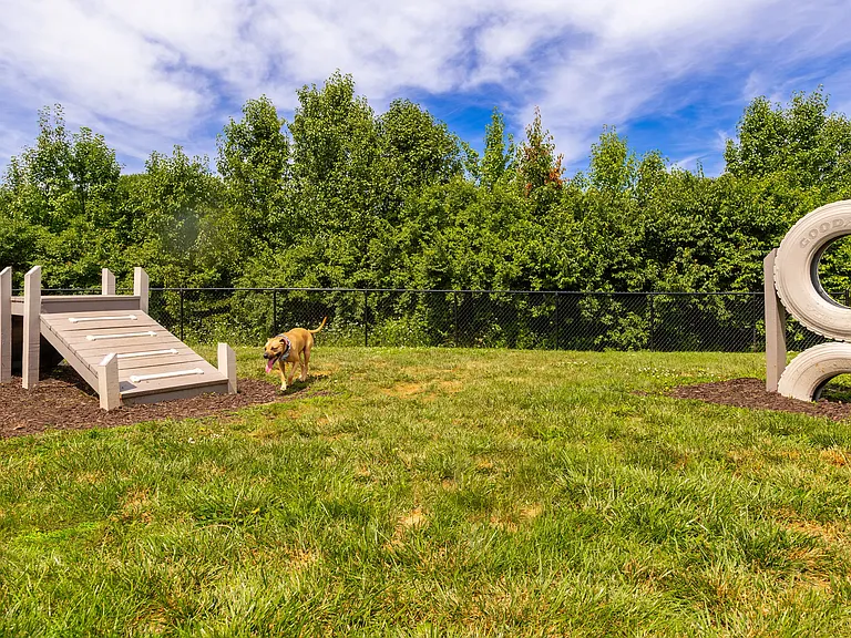 Our dog park is the perfect place for your furry friends to play and socialize. Featuring agility equipment and plenty of space to run, it's a haven for dogs of all sizes.