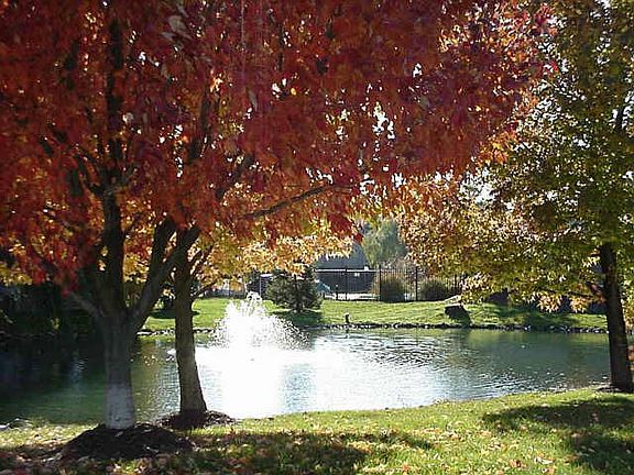 One of 2 community ponds