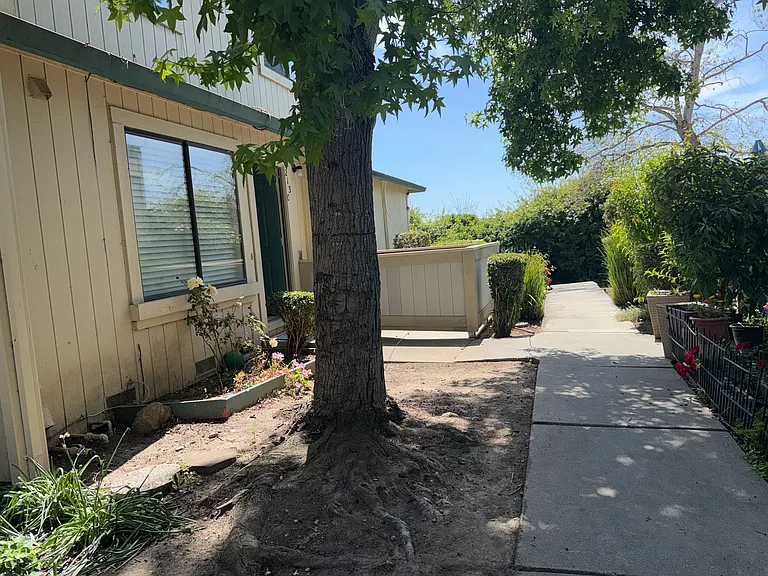Walkway and Entry 213 C Silver Leaf Frive