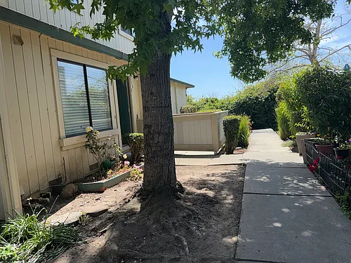 213 Silver Leaf Dr #C Photo 1