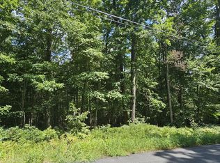 LOT 23.23 Perry Pond Rd, Narrowsburg, NY 12764