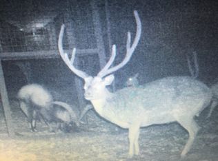 County Road 460, Rocksprings, TX 78880