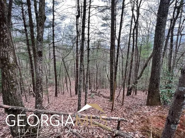 J 273 Pine Ridge Rd, Ellijay, GA 30536