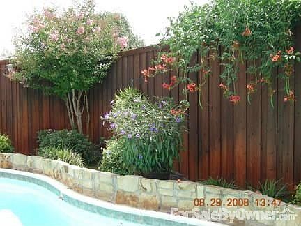 Back yard