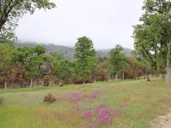 22885 Mistletoe Ct, Caliente, CA 93518