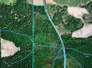 60.3 Ac Womack Road Miller Merritt Rd, Cottonwood, AL 36320