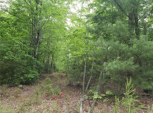 202 Cooper Shop Trl, Lowgap, NC 27024